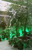 Туры в отель Macau Masters Hotel