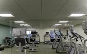 Туры в отель Holiday Inn Express & Suites Tampa East - Ybor City by IHG