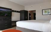 Туры в отель Holiday Inn Express & Suites Tampa East - Ybor City by IHG