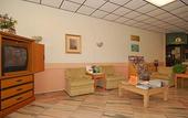 Туры в отель Holiday Inn Express & Suites Tampa East - Ybor City by IHG