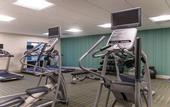 Туры в отель Holiday Inn Express & Suites Tampa East - Ybor City by IHG