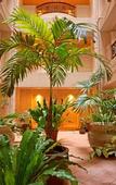 Туры в отель Libre Garden Hotel