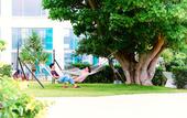 Туры в отель ANA InterContinental Ishigaki Resort by IHG