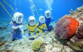 Туры в отель ANA InterContinental Ishigaki Resort by IHG