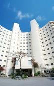Туры в отель TWIN-LINE HOTEL YANBARU OKINAWA JAPAN
