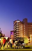 Туры в отель TWIN-LINE HOTEL YANBARU OKINAWA JAPAN