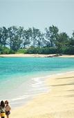 Туры в отель TWIN-LINE HOTEL YANBARU OKINAWA JAPAN