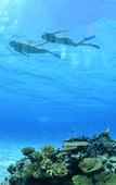 Туры в отель Haimurubushi