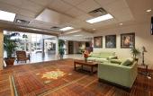 Туры в отель Allure Suites