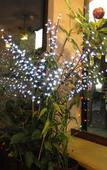 Туры в отель English Bay Hotel