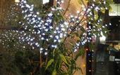 Туры в отель English Bay Hotel