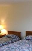 Туры в отель English Bay Hotel