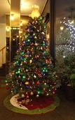 Туры в отель English Bay Hotel