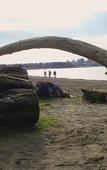Туры в отель English Bay Hotel