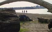 Туры в отель English Bay Hotel