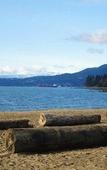 Туры в отель English Bay Hotel
