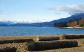 Туры в отель English Bay Hotel