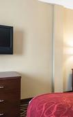Туры в отель Comfort Suites Tampa Airport North