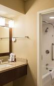 Туры в отель Washington Dulles Airport Marriott