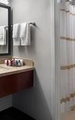 Туры в отель Washington Dulles Airport Marriott