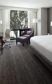 Туры в отель Washington Dulles Airport Marriott