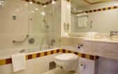 Туры в отель Isrotel Royal Garden