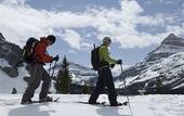 Туры в отель Kananaskis Mountain Lodge, Autograph Collection