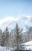 Туры в отель Kananaskis Mountain Lodge, Autograph Collection
