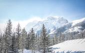 Туры в отель Kananaskis Mountain Lodge, Autograph Collection