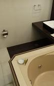 Туры в отель Hotel Ava Cuneta