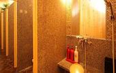 Туры в отель Dormy Inn PREMIUM Sapporo Hot Spring
