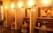 Туры в отель Dormy Inn PREMIUM Sapporo Hot Spring