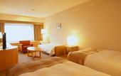 Туры в отель Sapporo View Hotel Odori Park