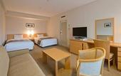 Туры в отель Sapporo View Hotel Odori Park