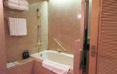 Туры в отель Sapporo View Hotel Odori Park