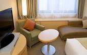 Туры в отель Sapporo View Hotel Odori Park