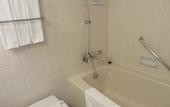 Туры в отель Sapporo View Hotel Odori Park