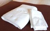 Туры в отель Sapporo View Hotel Odori Park