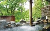 Туры в отель Shogetsu Grand Hotel