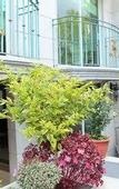 Туры в отель Residence L'heritage Aristoteles 140 by Bluebay