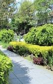 Туры в отель Residence L'heritage Aristoteles 140 by Bluebay