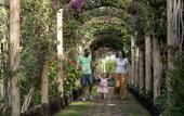 Туры в отель Precise Resort Tenerife