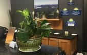 Туры в отель Spark by Hilton Asheville Blue Ridge Parkway