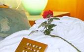 Туры в отель Hotel Motel Visconteo