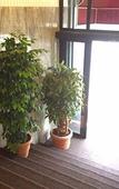 Туры в отель Hotel Arcobaleno