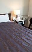 Туры в отель Meitetsu Inn Nagoya Nishiki