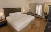 Туры в отель DoubleTree by Hilton Hotel Buffalo - Amherst