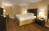 Туры в отель DoubleTree by Hilton Hotel Buffalo - Amherst