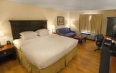 Туры в отель DoubleTree by Hilton Hotel Buffalo - Amherst