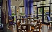 Туры в отель DoubleTree by Hilton Hotel Buffalo - Amherst